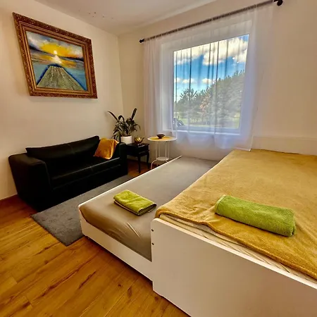 Meda Villa Druskininkai